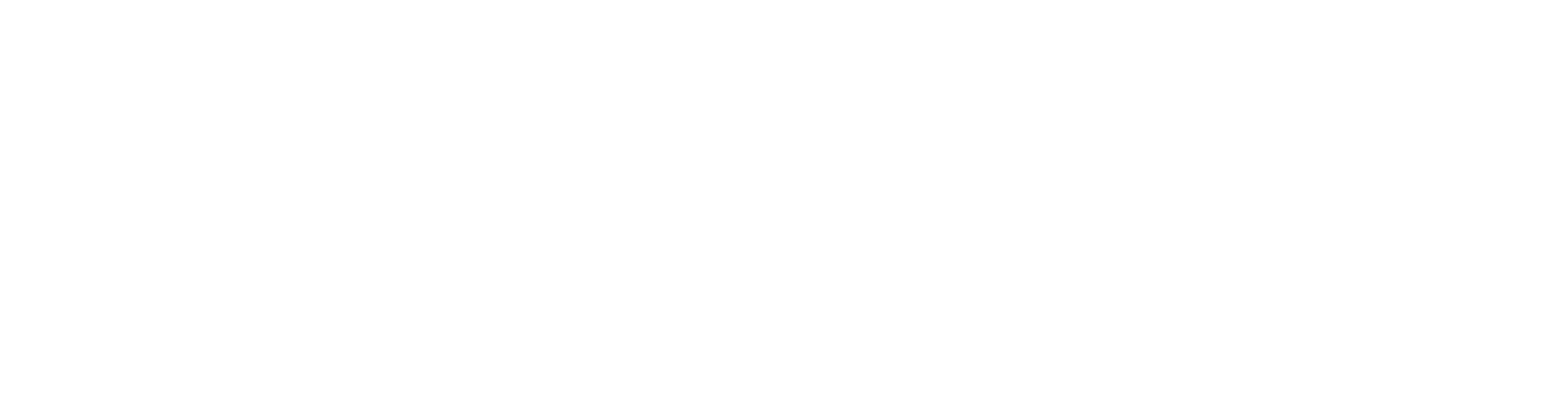 Optierra Logo